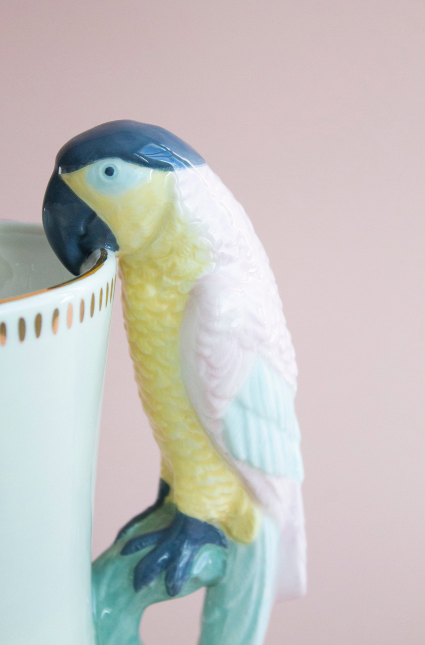 Yvonne Ellen Ceramic Parrot Jug
