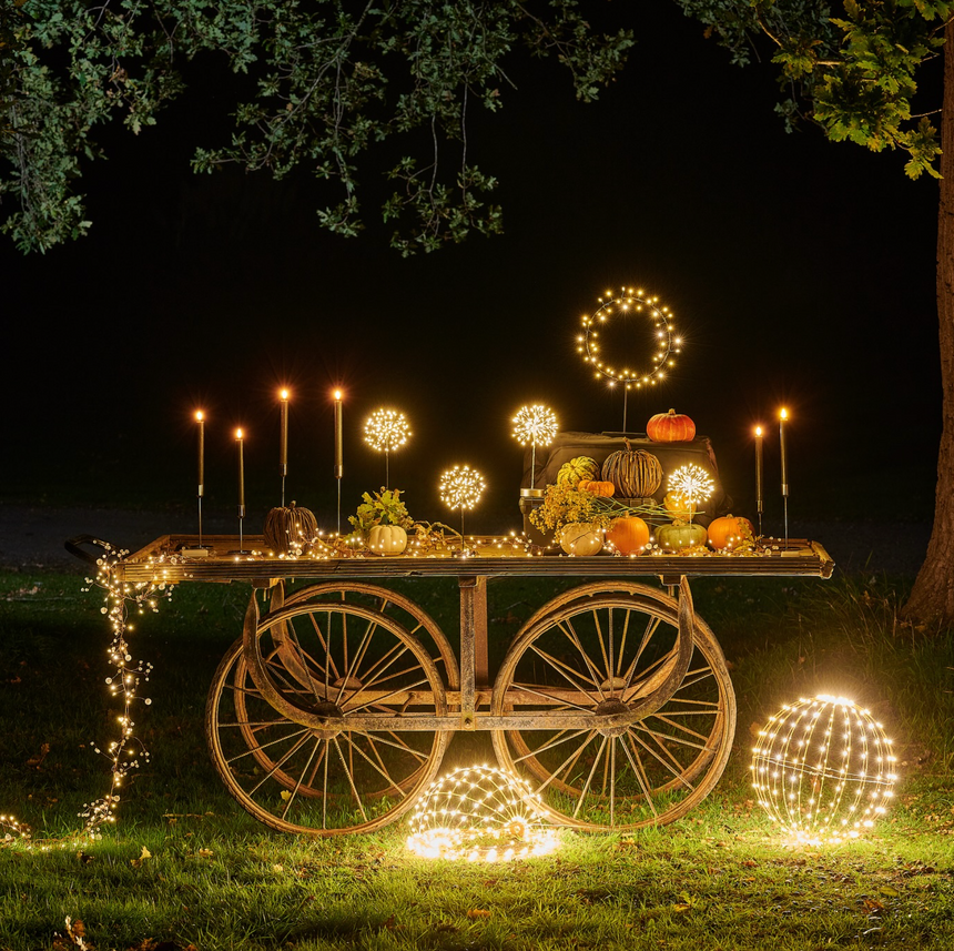 Dandelion Mini Table LED Fairy Light, Silver