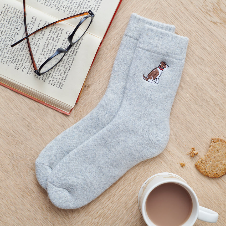 Sweet William Dog Walker Socks, Springer Spaniel