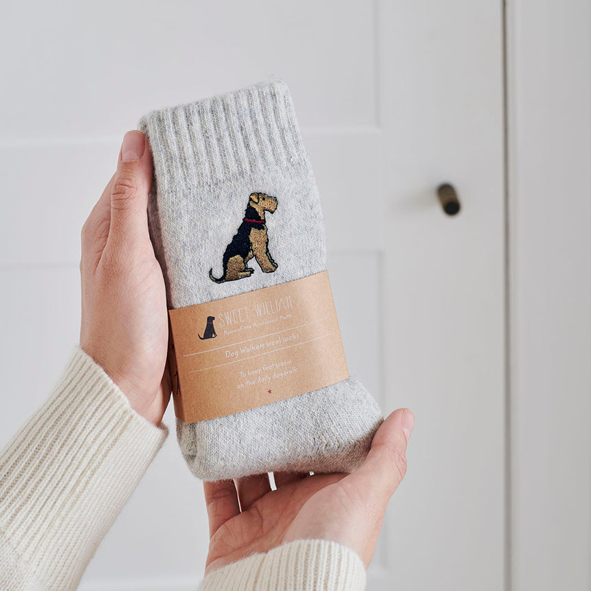 Sweet William Dog Walker Socks, Welsh Terrier
