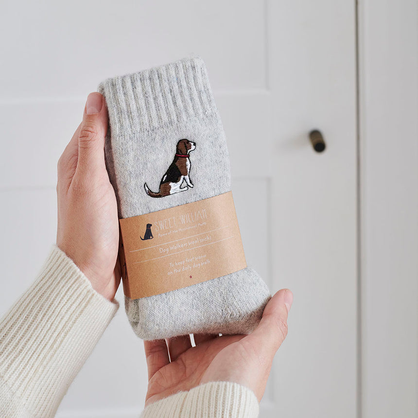 Sweet William Dog Walker Socks, Beagle