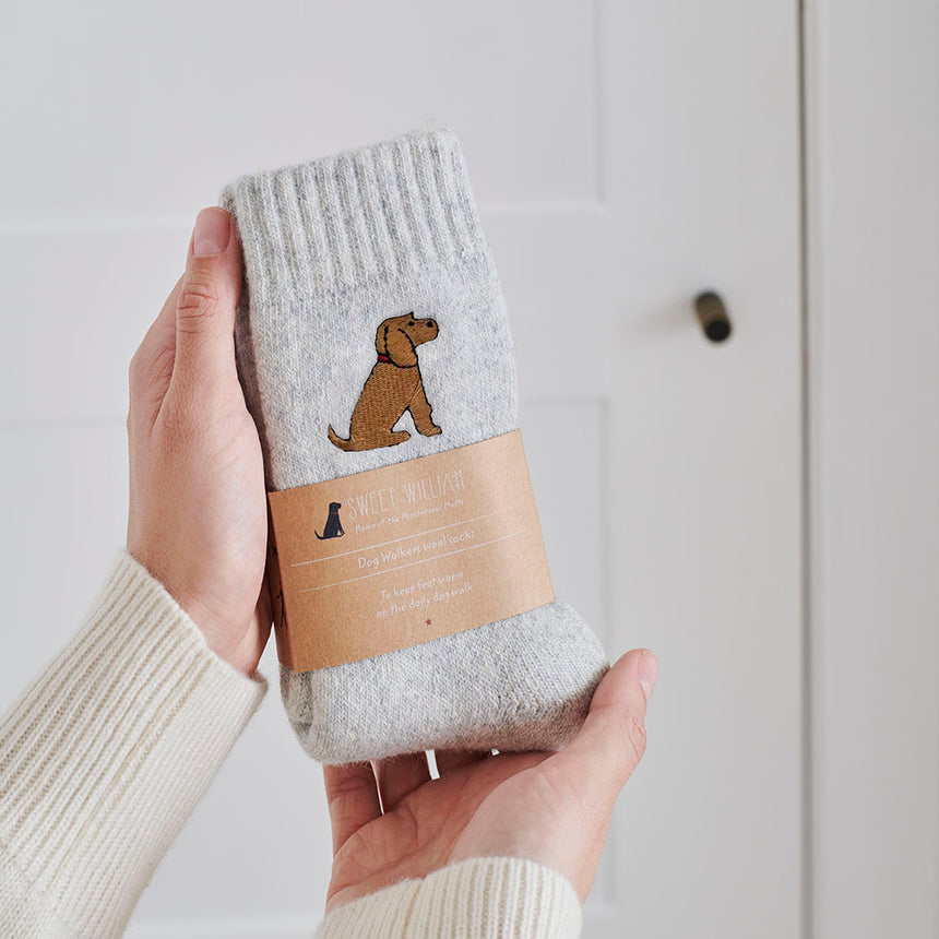 Sweet William Dog Walker Socks, Golden Cocker Spaniel