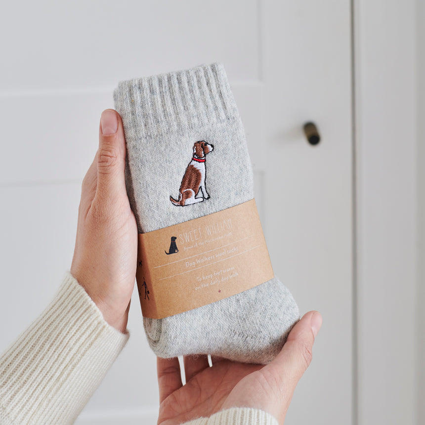Sweet William Dog Walker Socks, Springer Spaniel