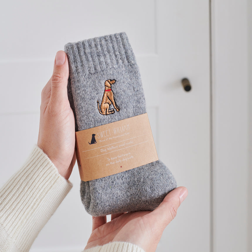 Sweet William Dog Walker Socks, Vizsla