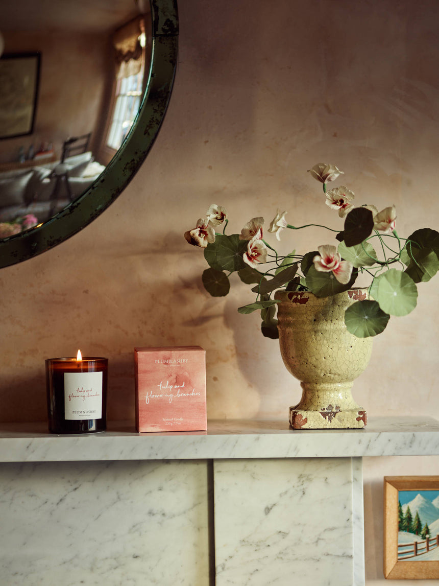 Plum & Ashby Large Scented Candle, Tulip & Flowering Branches