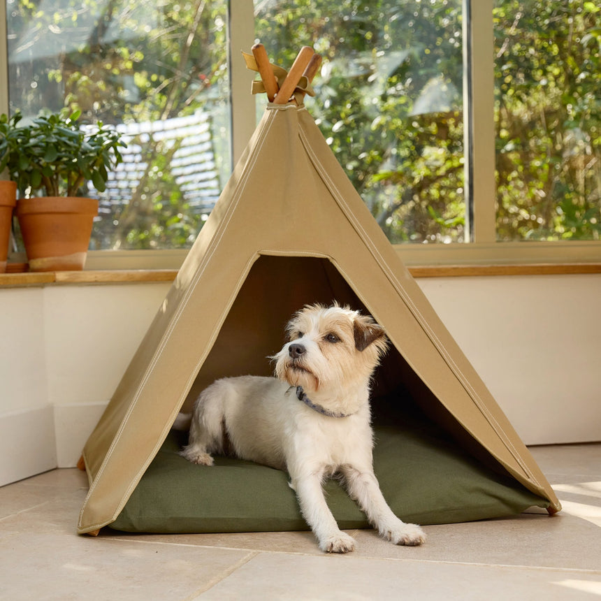 Pooch & Paws Handmade Dog Teepee, Light Sand