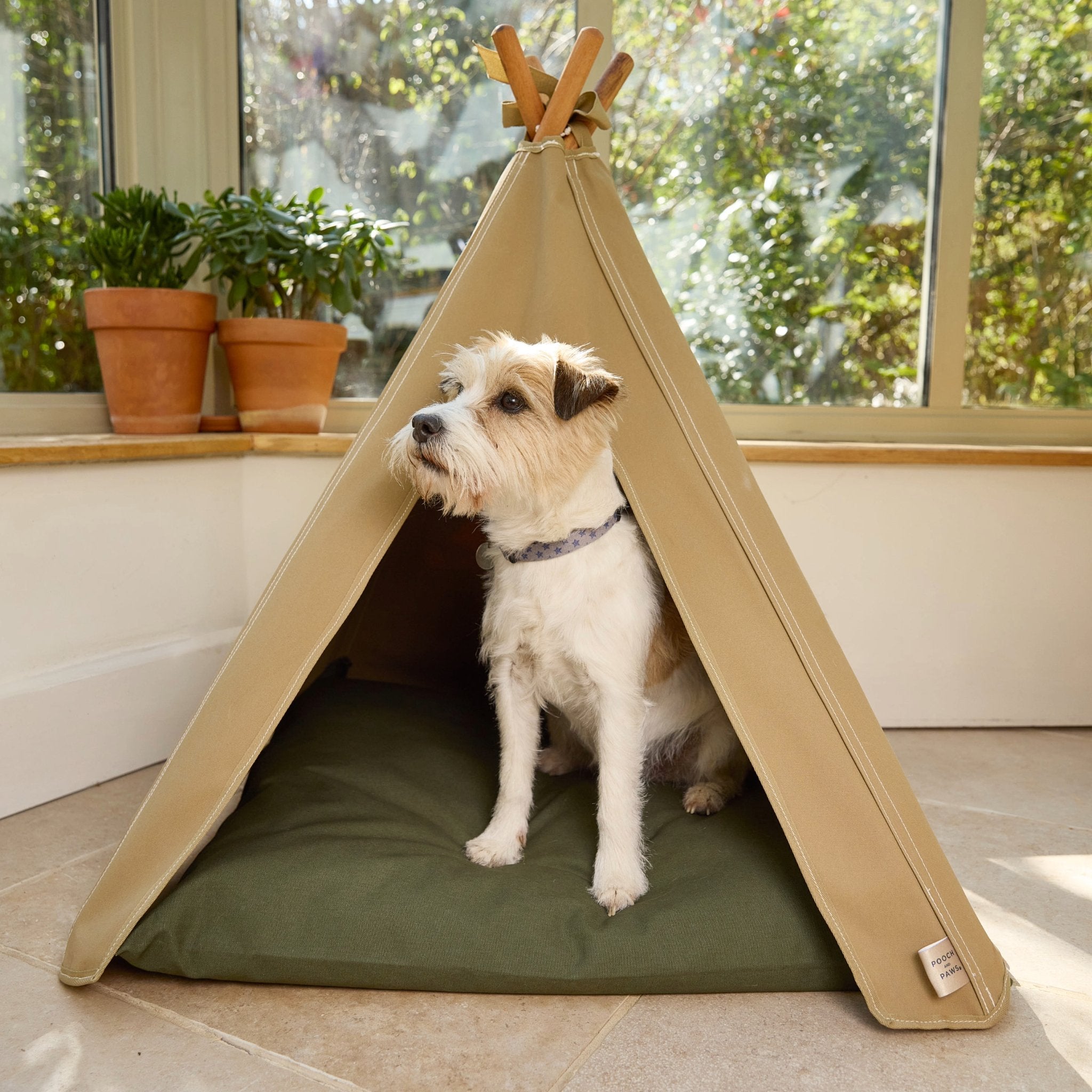 Big dog teepee best sale