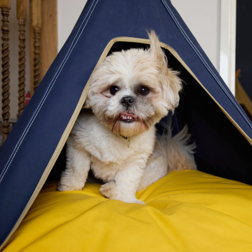 Pooch & Paws Handmade Dog Teepee, Navy Blue