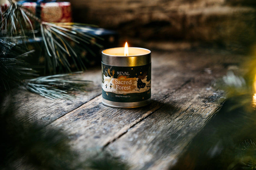 St eval Winter Edition  Sacred Forest Scented Tin Candle