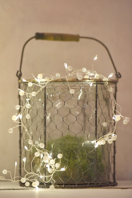 Pearl Cluster LED Fairy Lights ( Battery Powered)