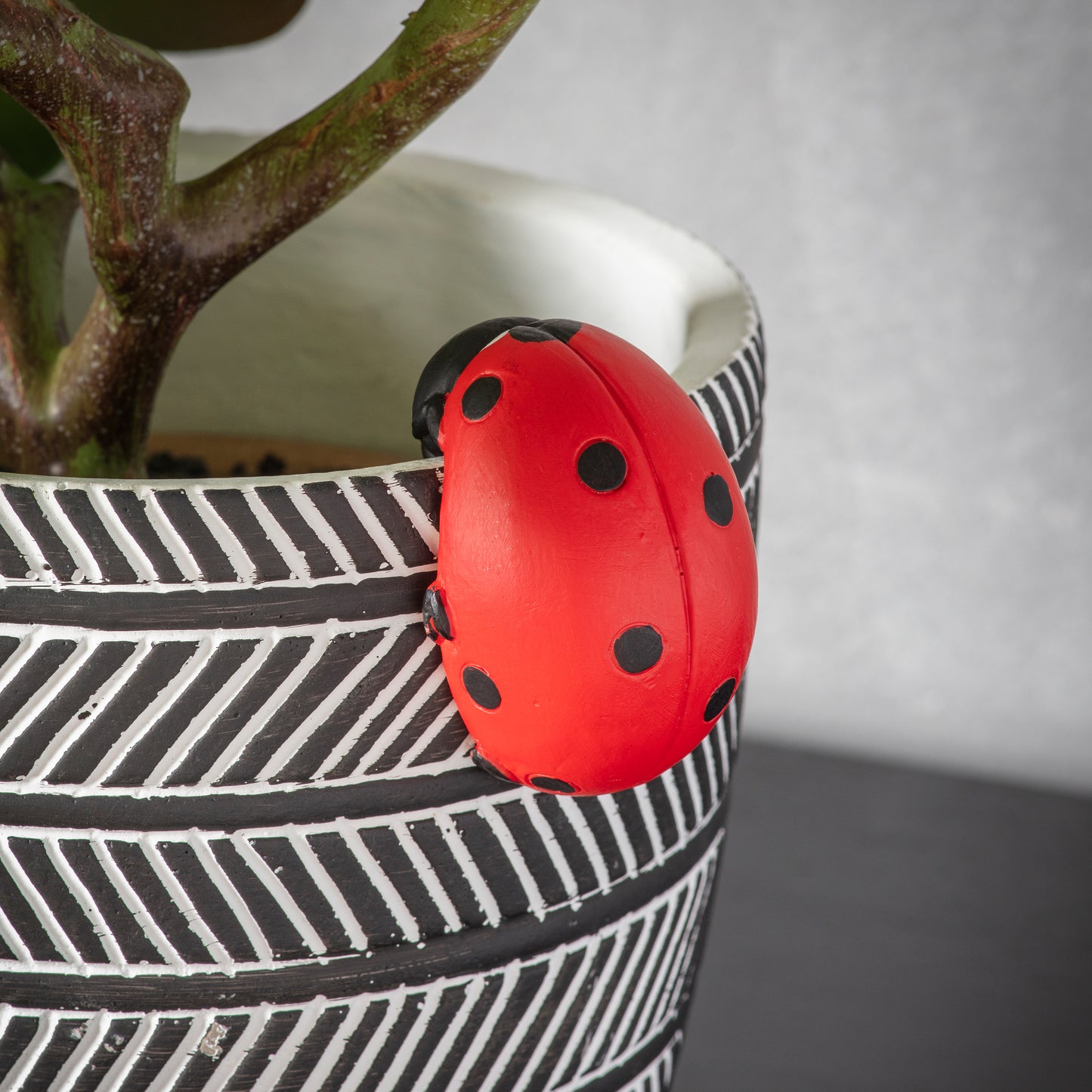 Eve Ladybird Pot Hanger ( 2PK )