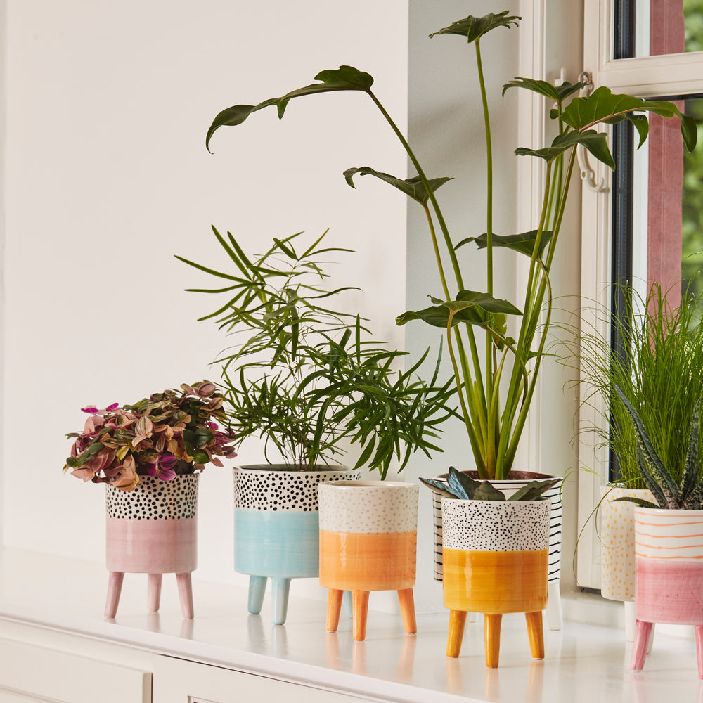 Bahne Ceramic Planter Orange Stripes