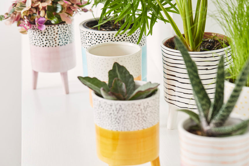 Bahne Ceramic Planter Stripes