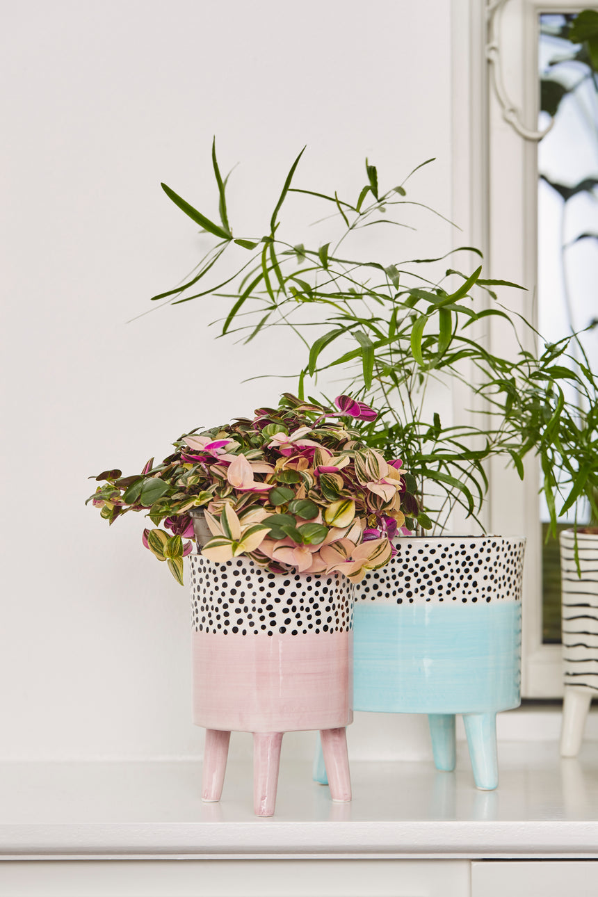 Bahne Ceramic Planter Spotty Pink