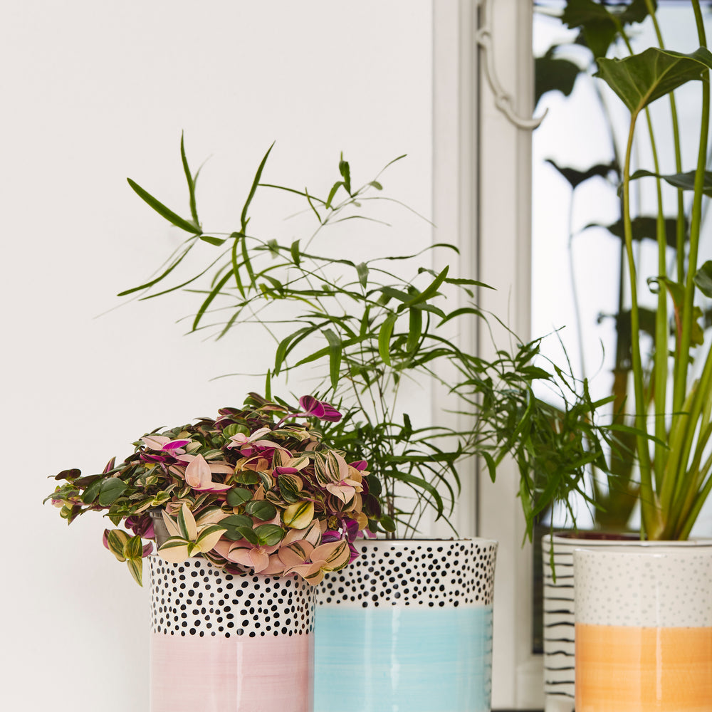 Bahne Ceramic Flower Pot  Blue