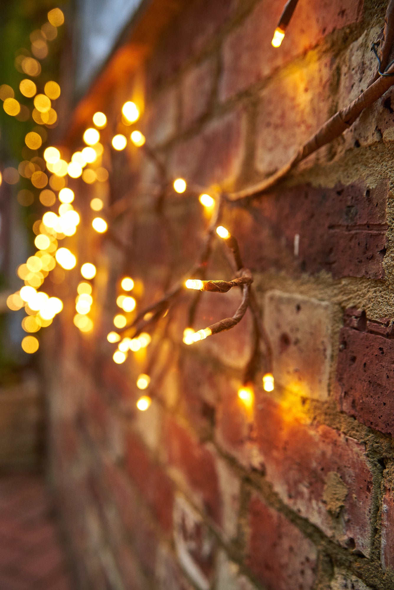 diwali-lighting