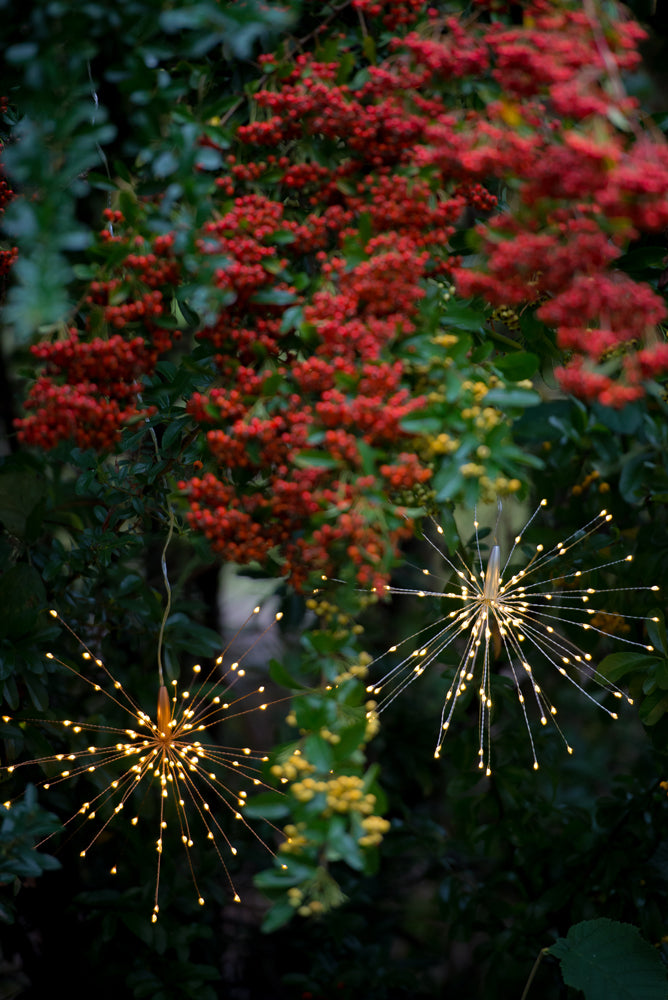 Starburst LED Fairy Light Large (Mains powered)