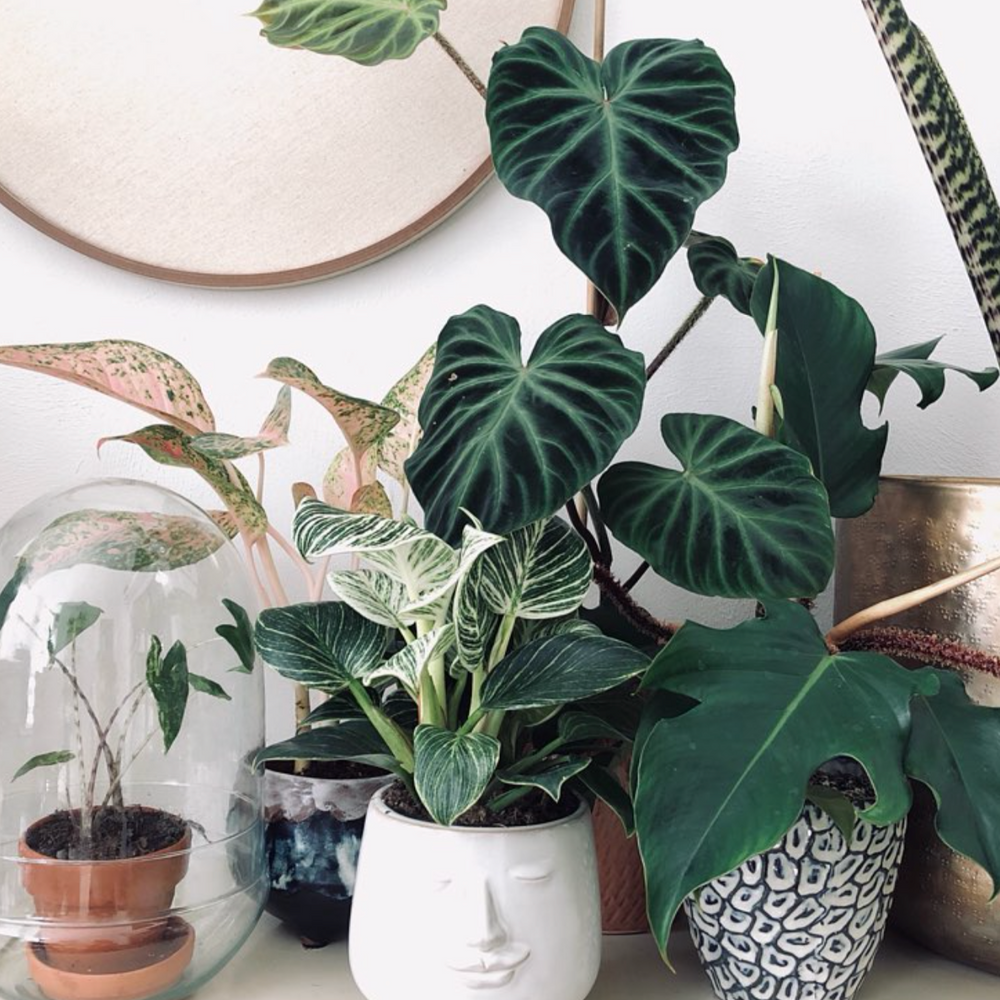 Bloomingville Textured Stoneware Flower Pot  Blue/ white