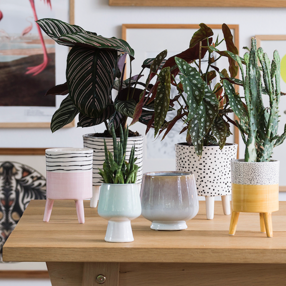 Bahne Ceramic Planter Spotty Yellow