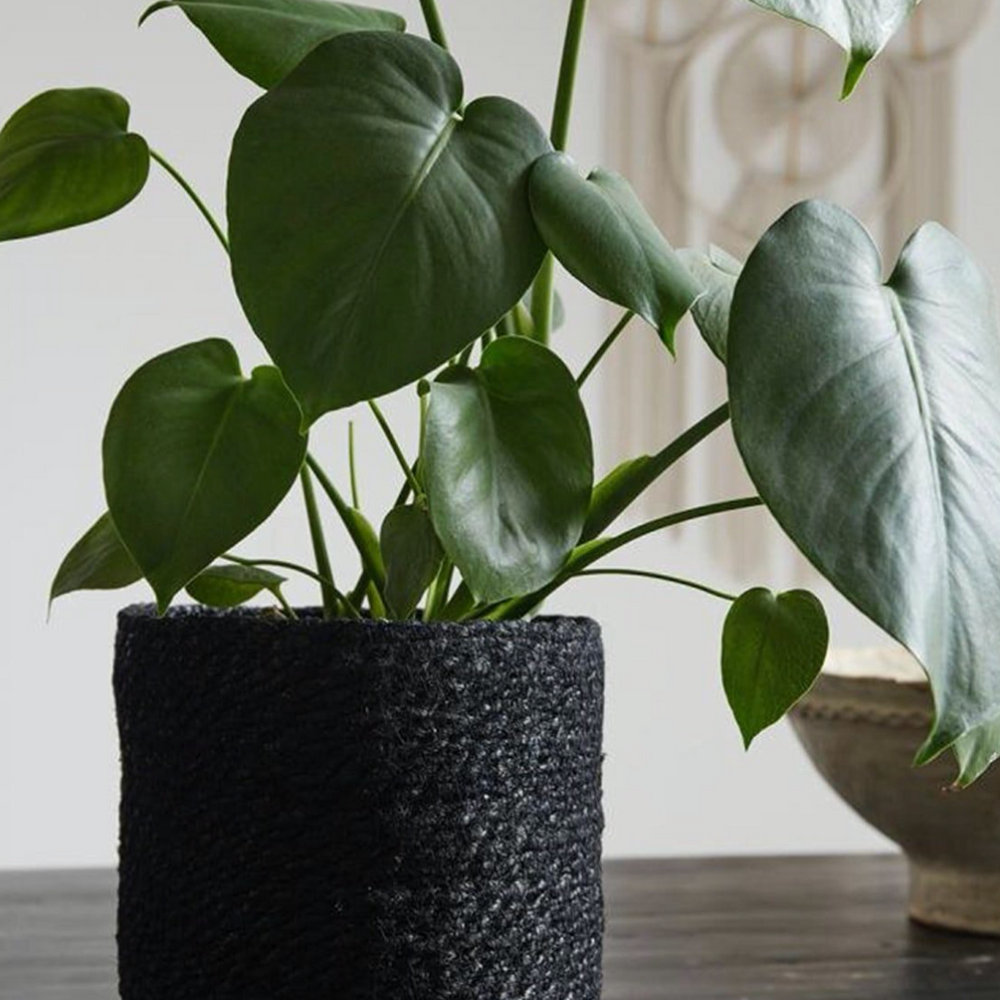 Nordal Jute Planter, Black