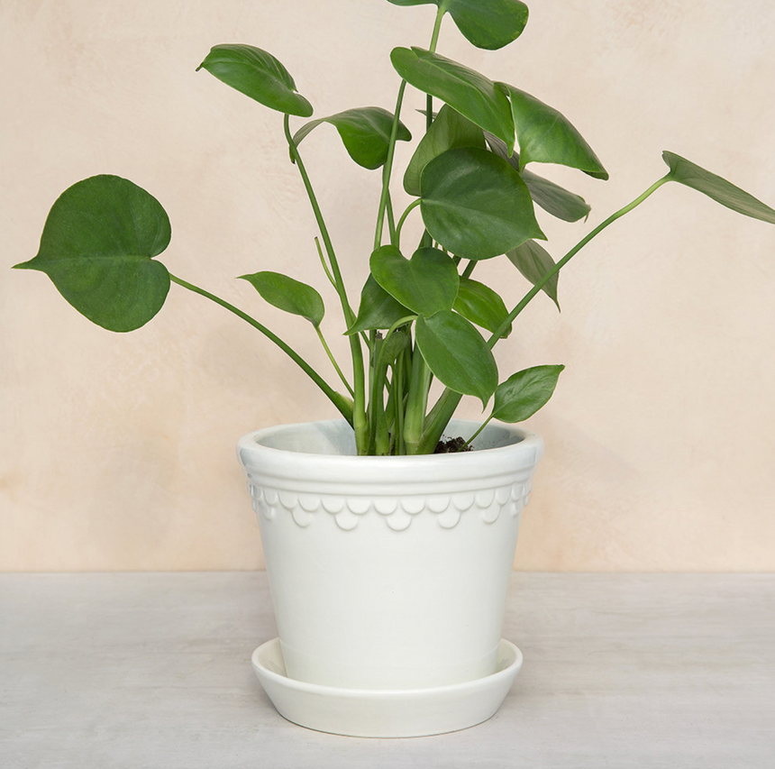 Bergs Potter Copenhagen Planter White