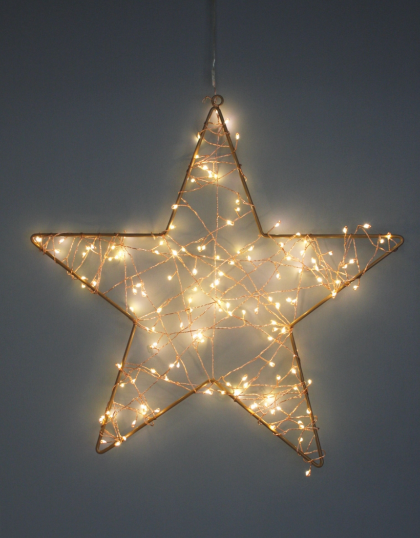 Cluster LED Fairy Lights Copper  (Battery Operated)