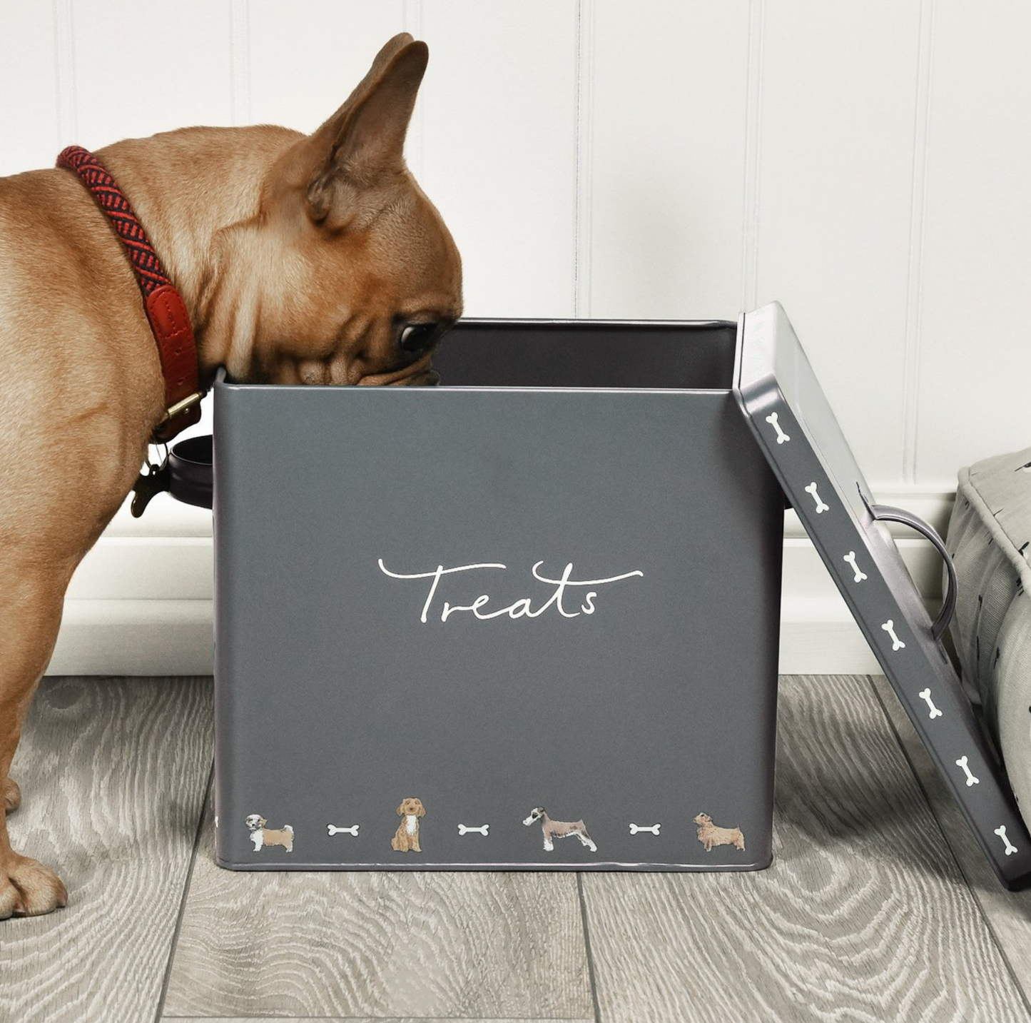 Sophie Allport Pet Food Tin, Walkies