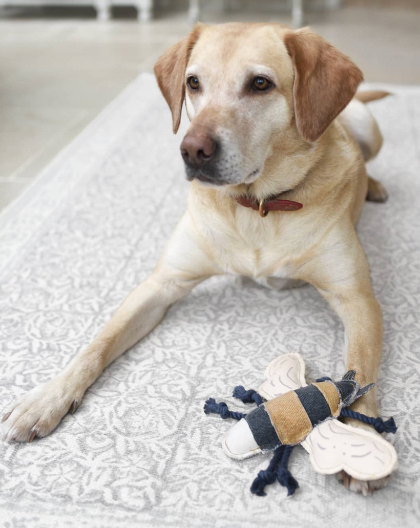 Sophie Allport Dog Toy, Bee