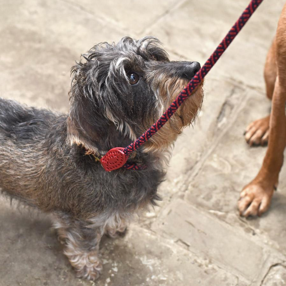 Sophie Allport Rope Dog Collar, Red