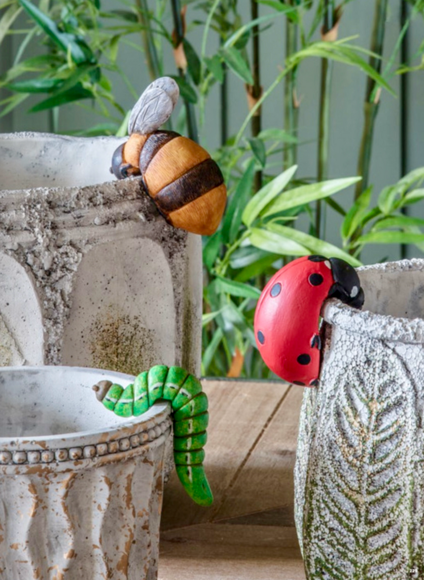 Eve Ladybird Pot Hanger ( 2PK )