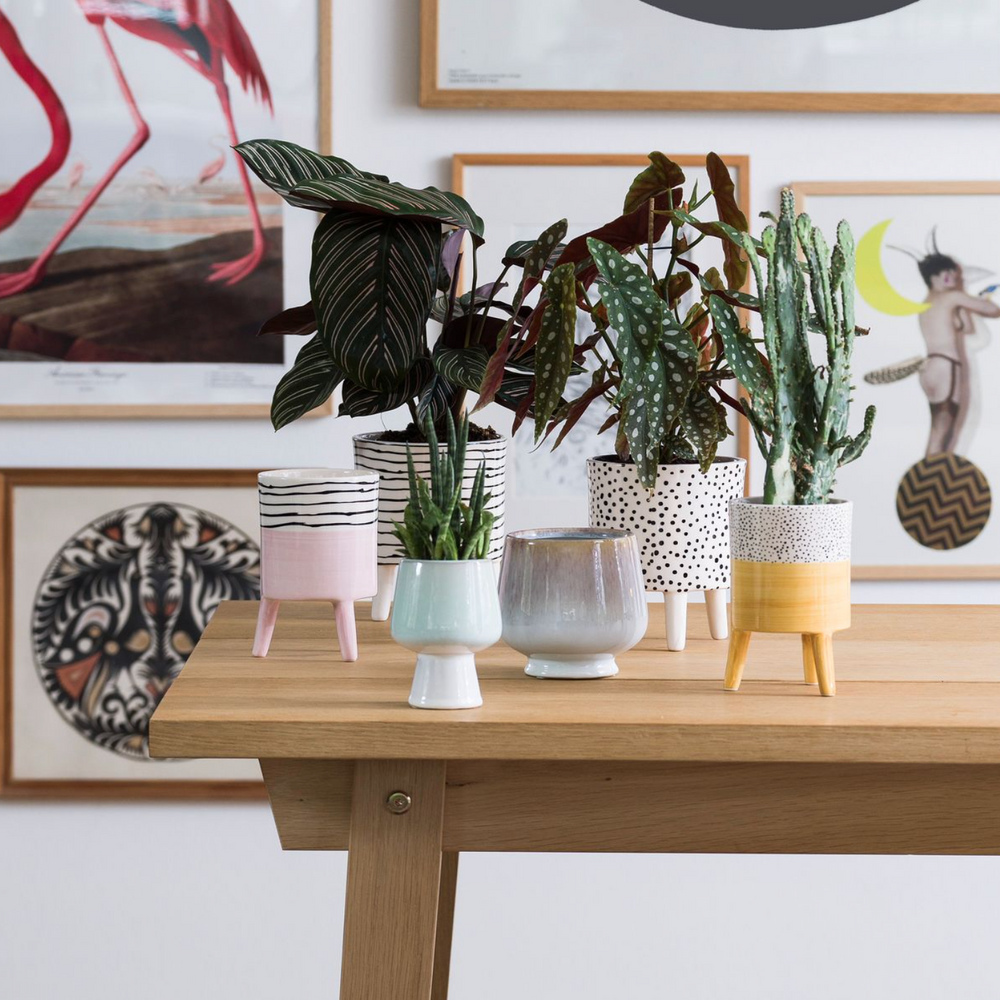 Bahne Ceramic Planter Stripes