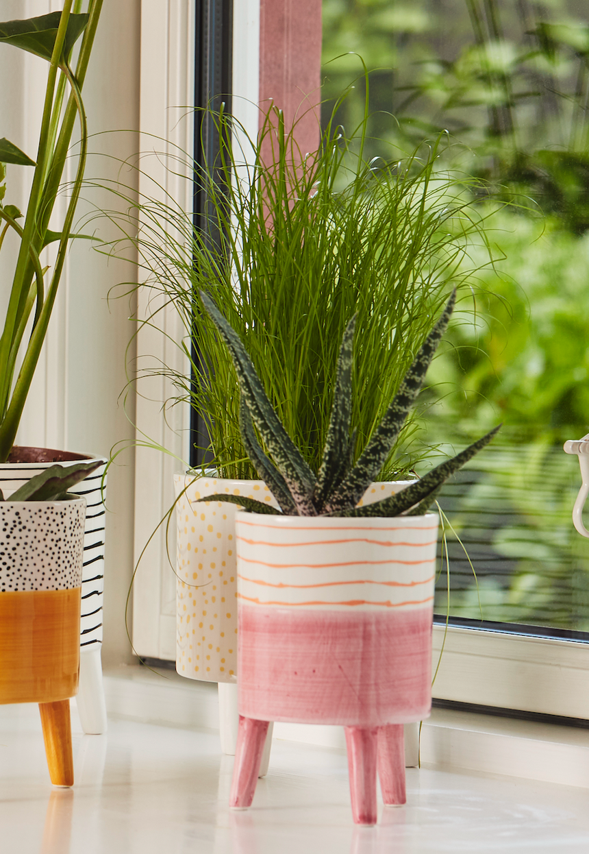 Bahne Ceramic Planter Orange Stripes