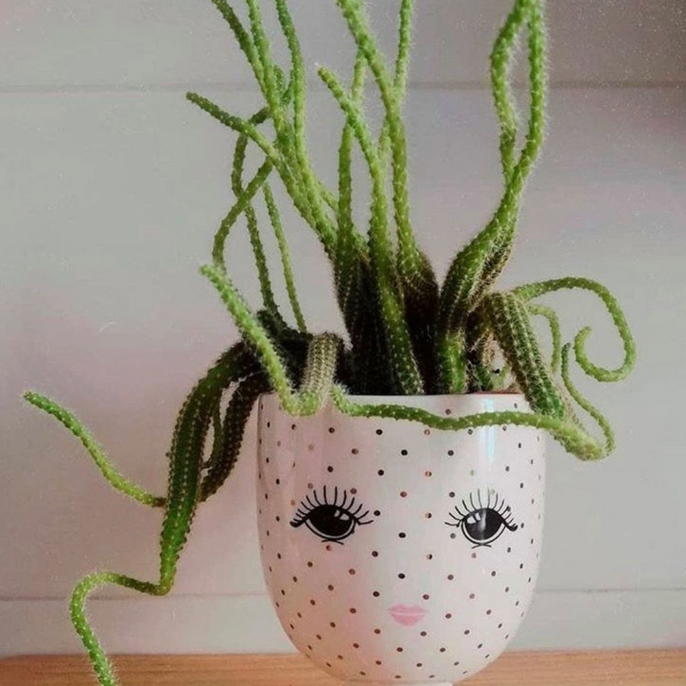 Miss Etoile Ceramic Flower Pot Polka Dots