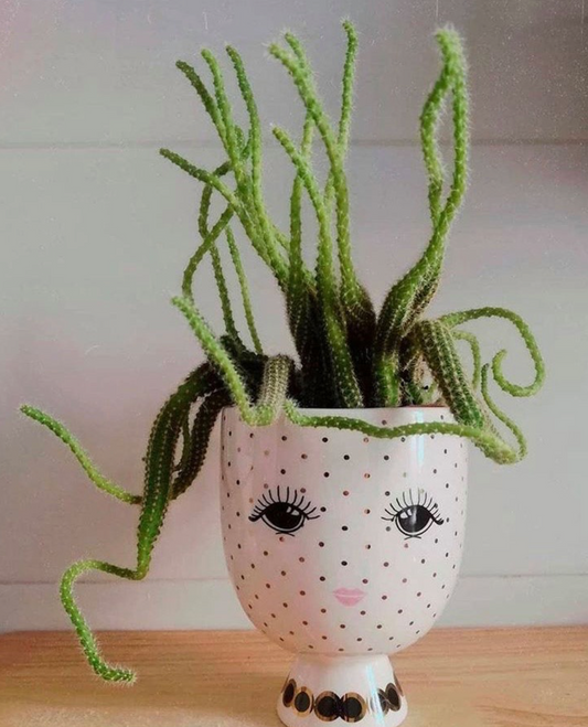 Miss Etoile Ceramic Flower Pot Polka Dots