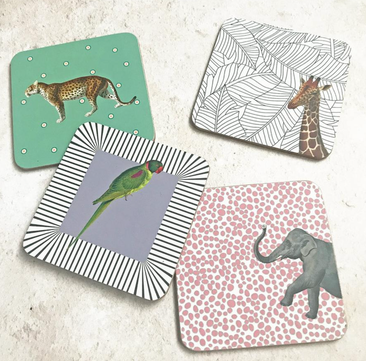 Yvonne Ellen Safari Animals Coasters ( Set Of 4 )