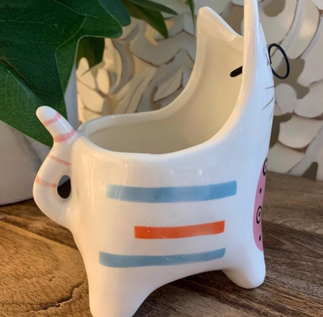 Clevercat innovations sales