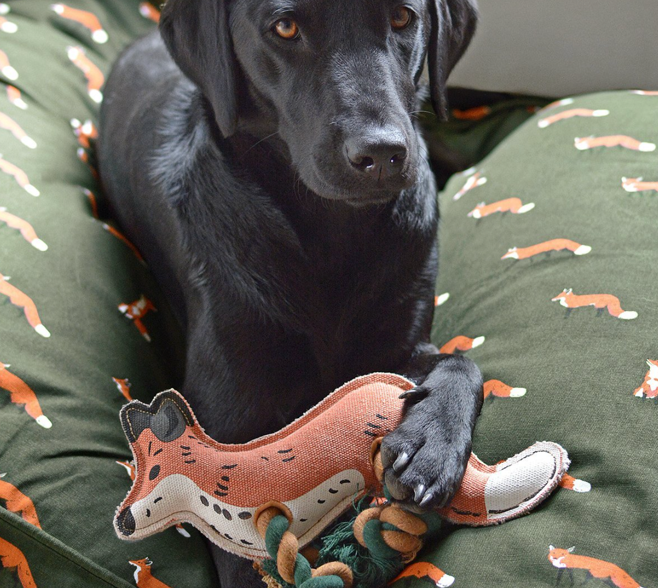 Sophie Allport Dog Toy, Fox