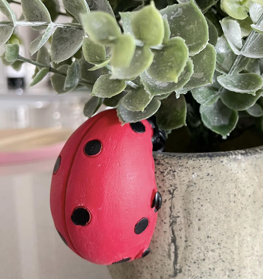 Eve Ladybird Pot Hanger ( 2PK )