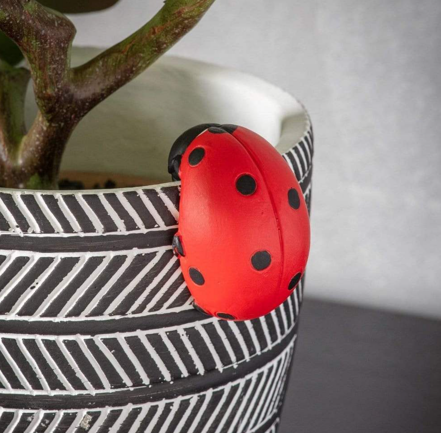 Eve Ladybird Pot Hanger ( 2PK )