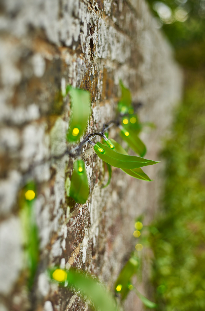 Solar powered Leaf Fantasy LED Fairy light