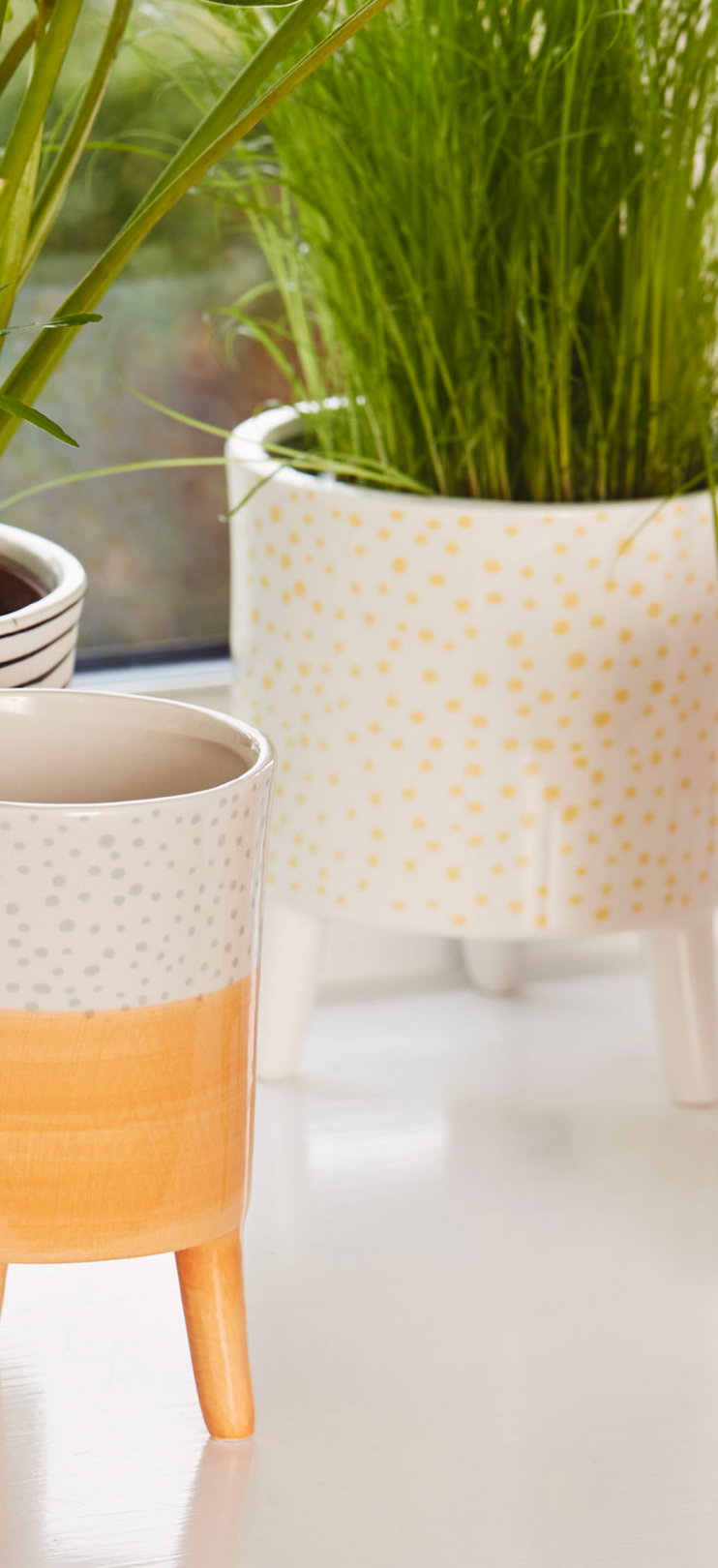 Bahne Ceramic Planter Pale Yellow Dots