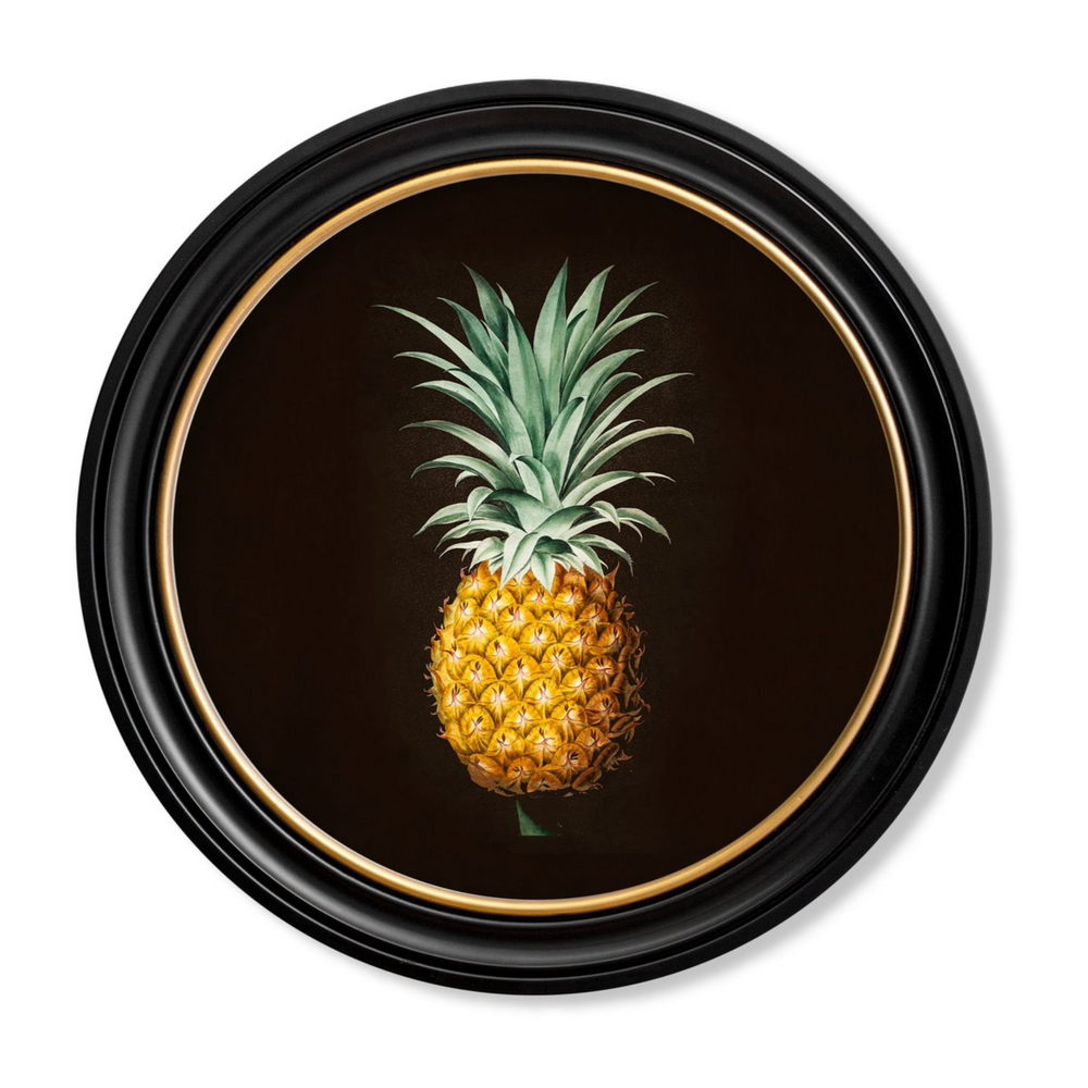 Vintage Round Framed Print, Pineapple