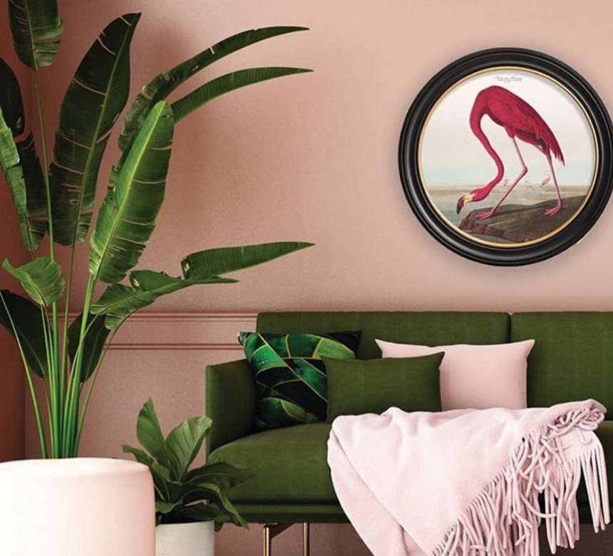 Vintage Round Framed Print Flamingo