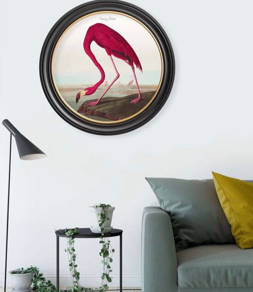 Vintage Round Framed Print Flamingo