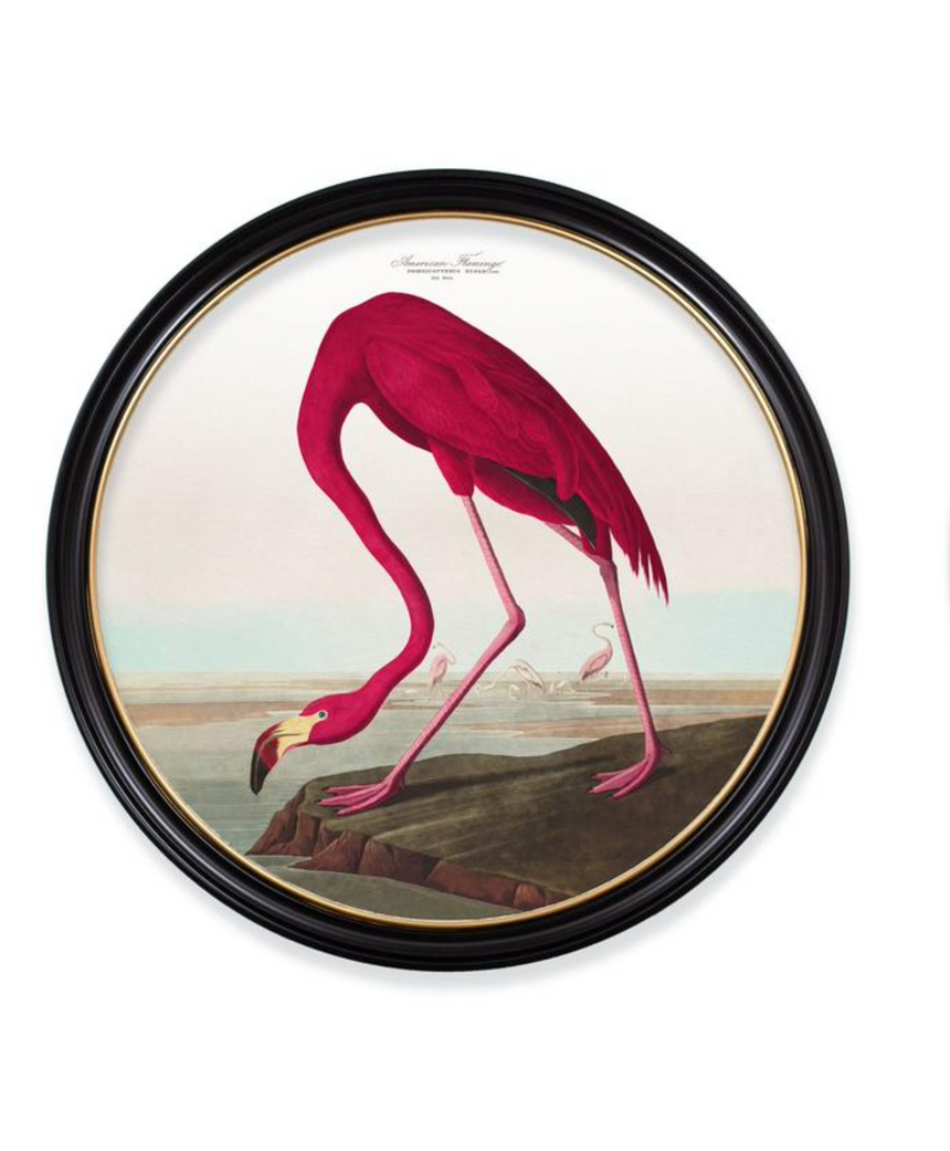 Vintage Round Framed Print Flamingo