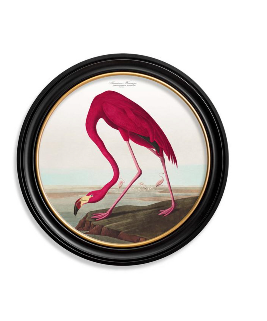 Vintage Round Framed Print Flamingo