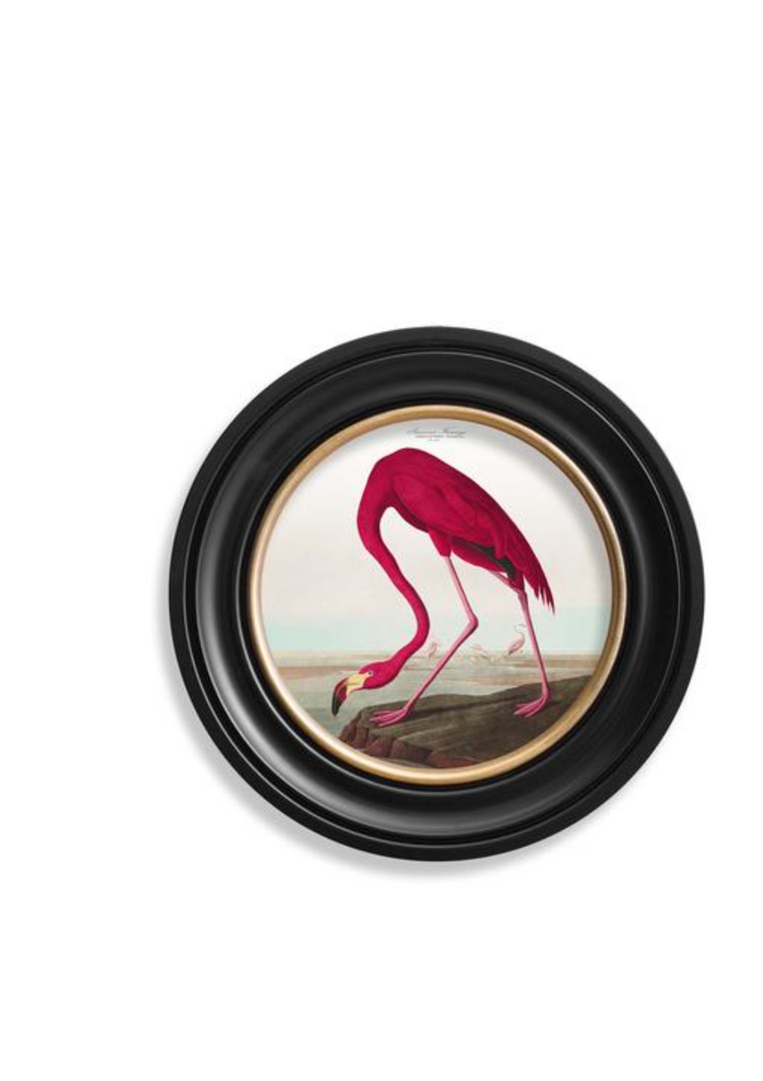 Vintage Round Framed Print Flamingo