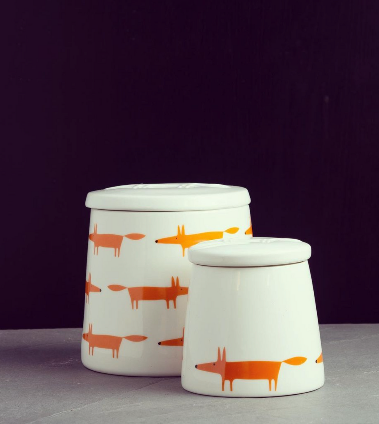 Scion Living Mr Fox Storage Jar, Multi