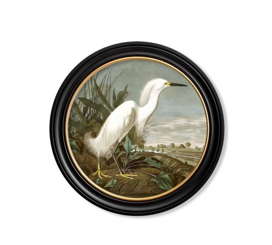 Vintage Round Framed Print, Snowy Heron