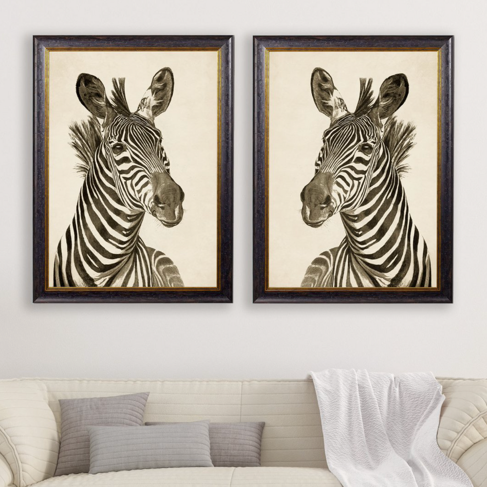 Vintage Framed Print, Zebra (Pair Of Two Prints)